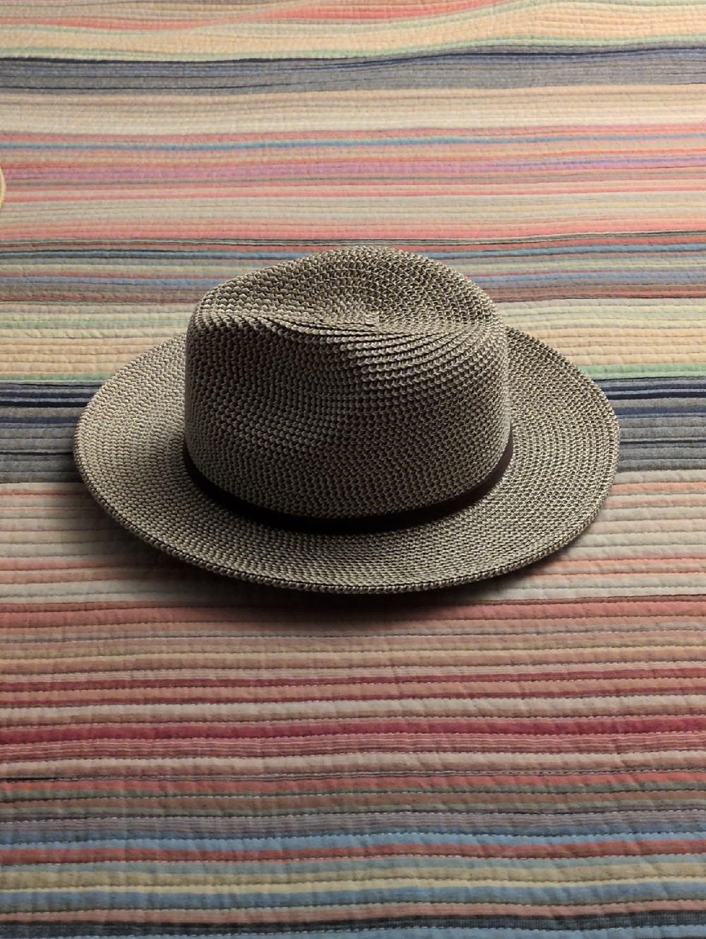 Classic Neutral Straw Fedora Hat with Dark Band - Women's Summer Accessory